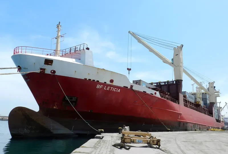 BF LETICIA Container Ship IMO 9266542 photo 8