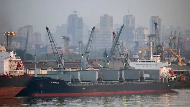 PAPUA Bulk Carrier IMO 9266906