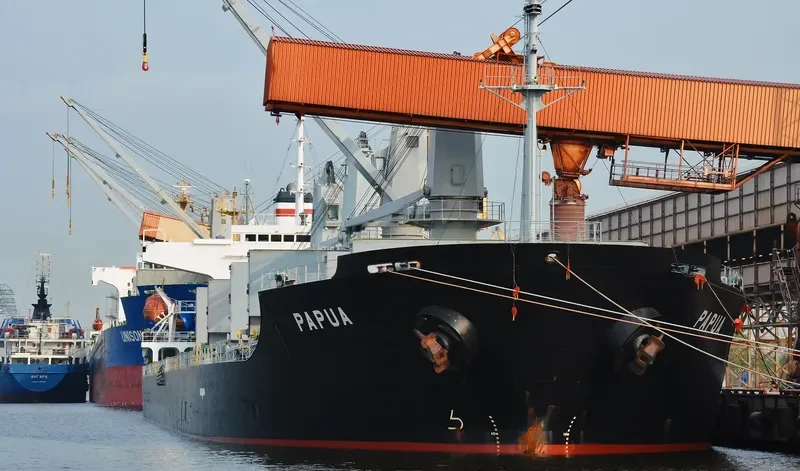 PAPUA Bulk Carrier IMO 9266906 photo 2