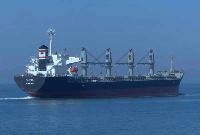 PAPUA Bulk Carrier IMO 9266906 photo 3