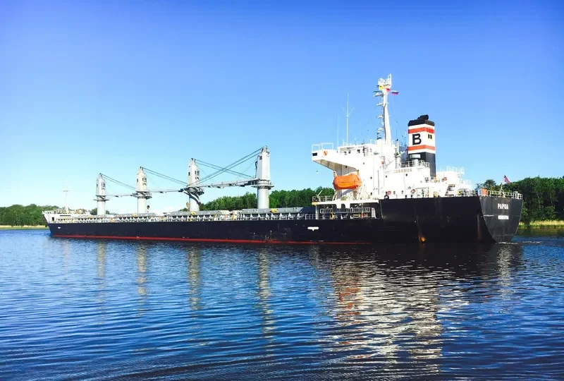 PAPUA Bulk Carrier IMO 9266906 photo 4
