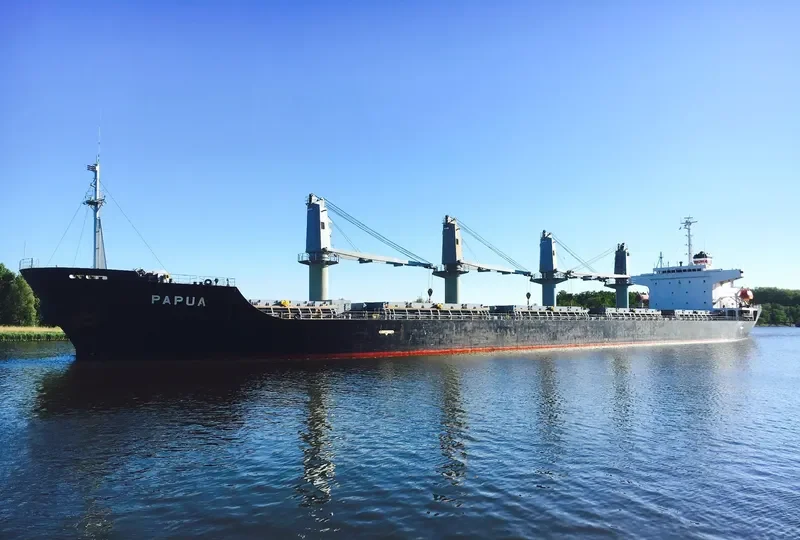 PAPUA Bulk Carrier IMO 9266906 photo 5