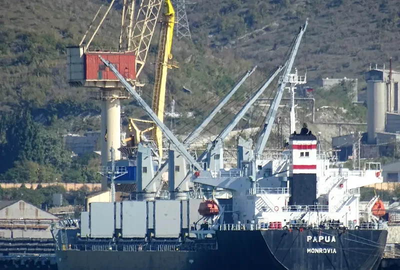 PAPUA Bulk Carrier IMO 9266906 photo 7