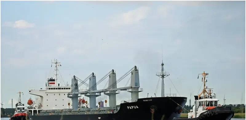 PAPUA Bulk Carrier IMO 9266906 photo 10
