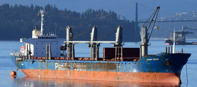 MOUNT BAKER Bulk Carrier IMO 9266918 photo 2