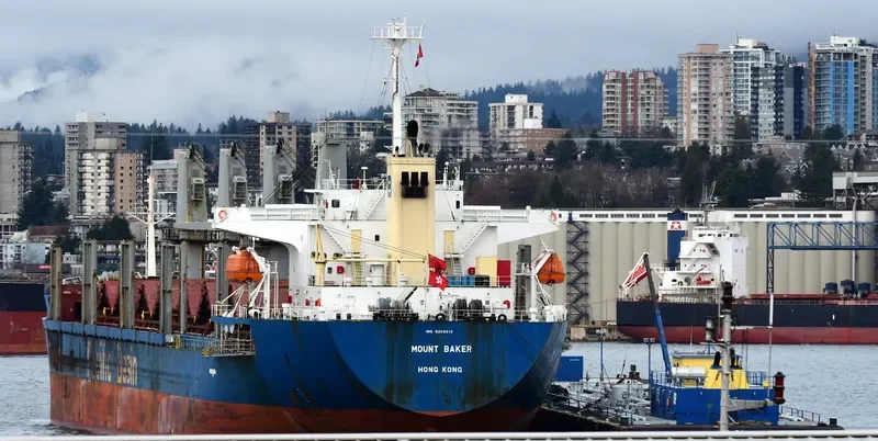 MOUNT BAKER Bulk Carrier IMO 9266918 photo 3