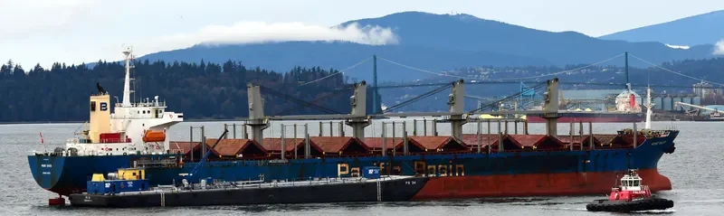 MOUNT BAKER Bulk Carrier IMO 9266918 photo 4