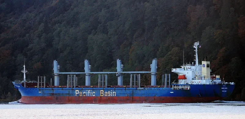 MOUNT BAKER Bulk Carrier IMO 9266918 photo 6