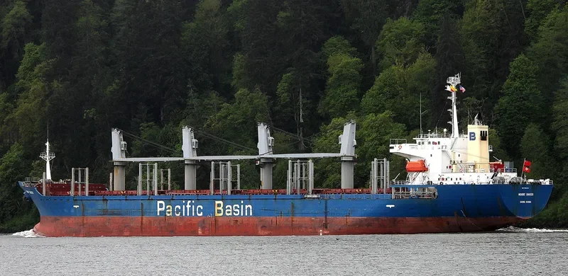 MOUNT BAKER Bulk Carrier IMO 9266918 photo 8