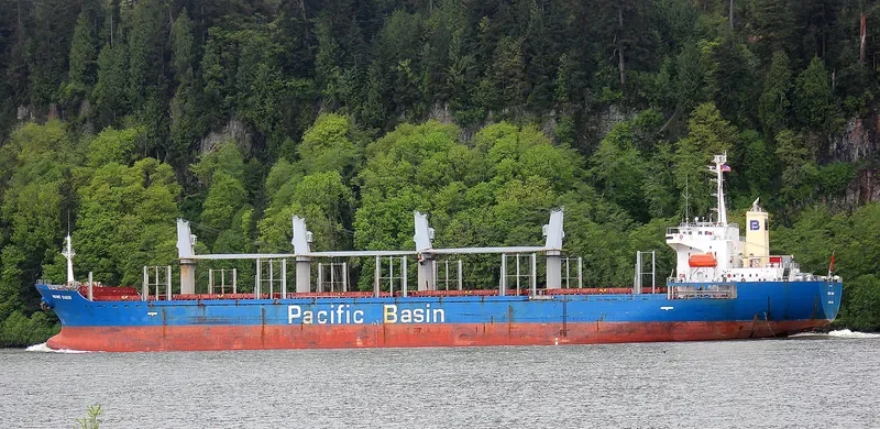 MOUNT BAKER Bulk Carrier IMO 9266918 photo 9