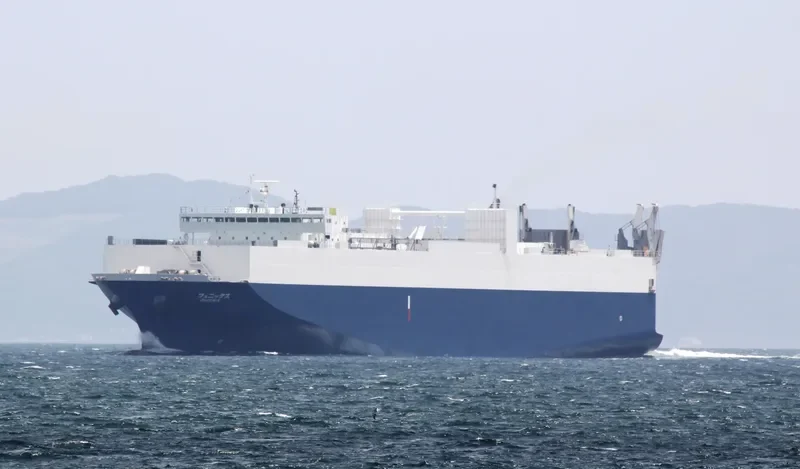 PEARL ORIENT General Cargo IMO 9266920 photo 4