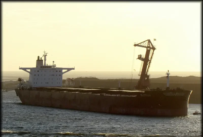 GLORIUSHIP Bulk Carrier IMO 9266944 photo 5