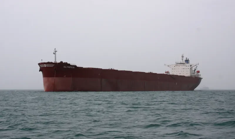 OLYMPIUS Bulk Carrier IMO 9266956 photo 2