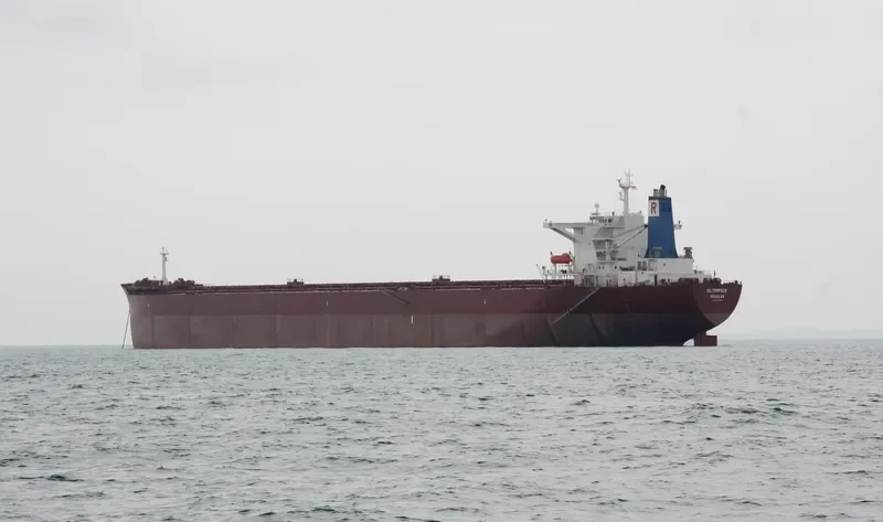 OLYMPIUS Bulk Carrier IMO 9266956 photo 4