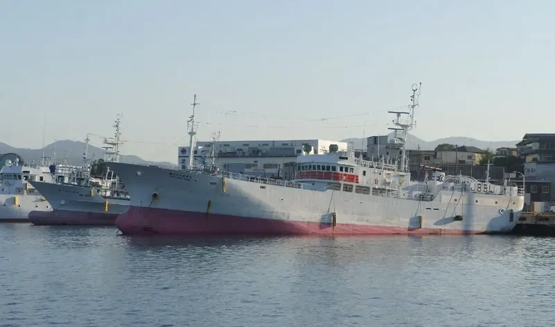 KINEI MARU NO.138 General Cargo IMO 9267053 photo 6