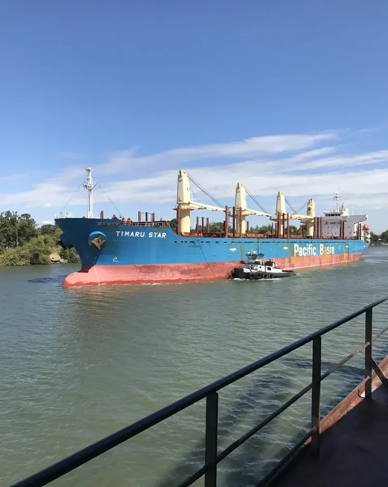 TIMARU STAR Bulk Carrier IMO 9267077 photo 3