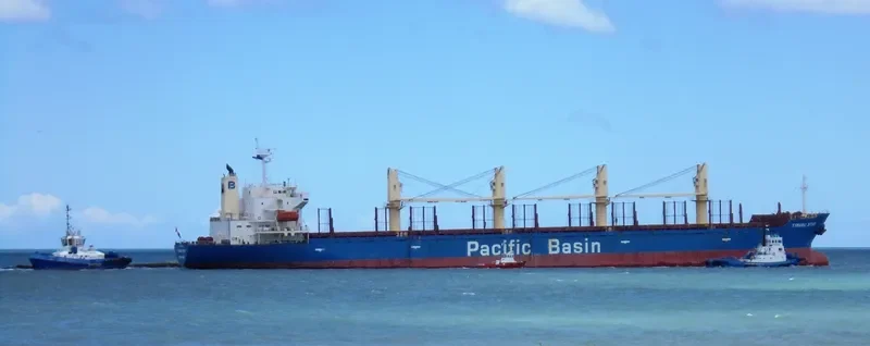 TIMARU STAR Bulk Carrier IMO 9267077 photo 4