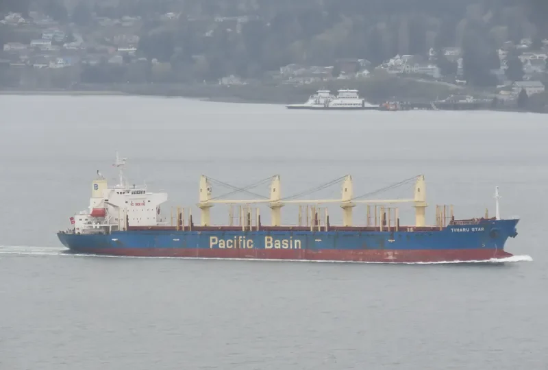 TIMARU STAR Bulk Carrier IMO 9267077 photo 7