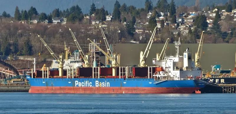 TIMARU STAR Bulk Carrier IMO 9267077 photo 9