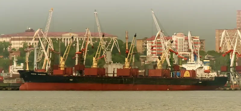OCEAN HARVEST Bulk Carrier IMO 9267091