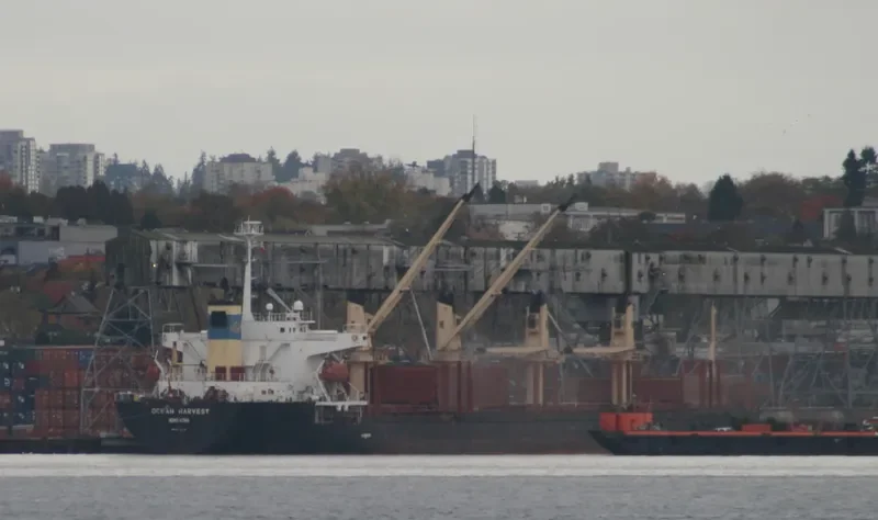 OCEAN HARVEST Bulk Carrier IMO 9267091 photo 5