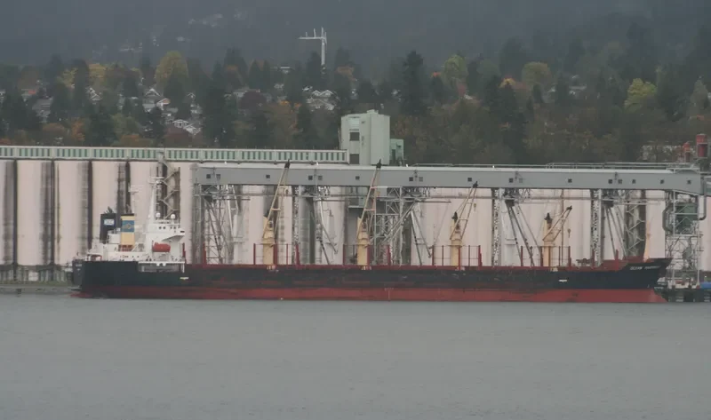 OCEAN HARVEST Bulk Carrier IMO 9267091 photo 8
