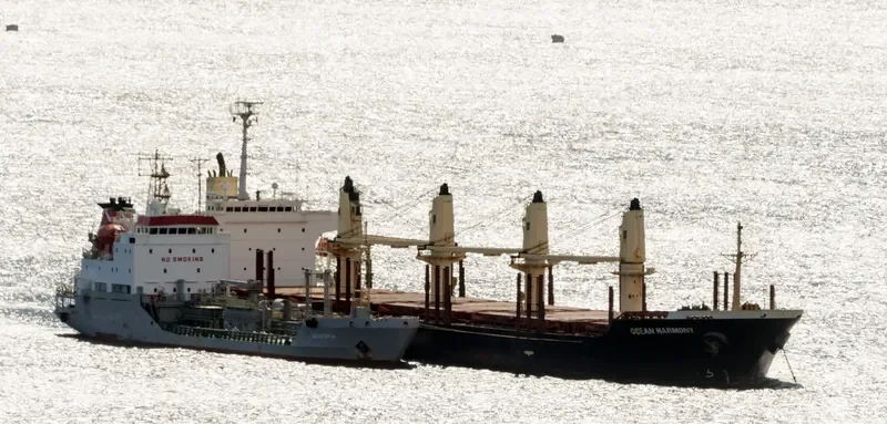 SUNNY HONOR Bulk Carrier IMO 9267106 photo 3