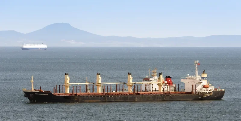 SUNNY HONOR Bulk Carrier IMO 9267106 photo 4