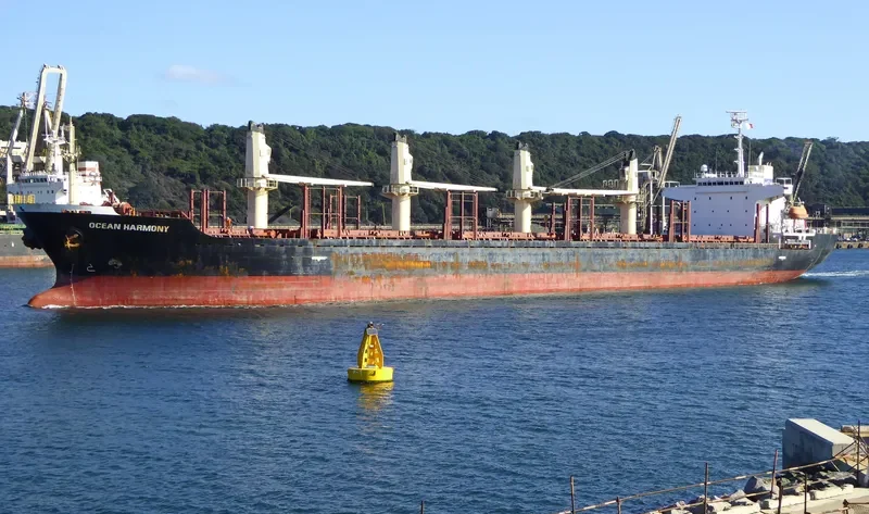 SUNNY HONOR Bulk Carrier IMO 9267106 photo 9