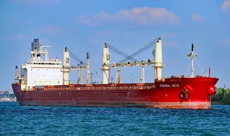 FEDERAL SETO Bulk Carrier IMO 9267209 photo 4