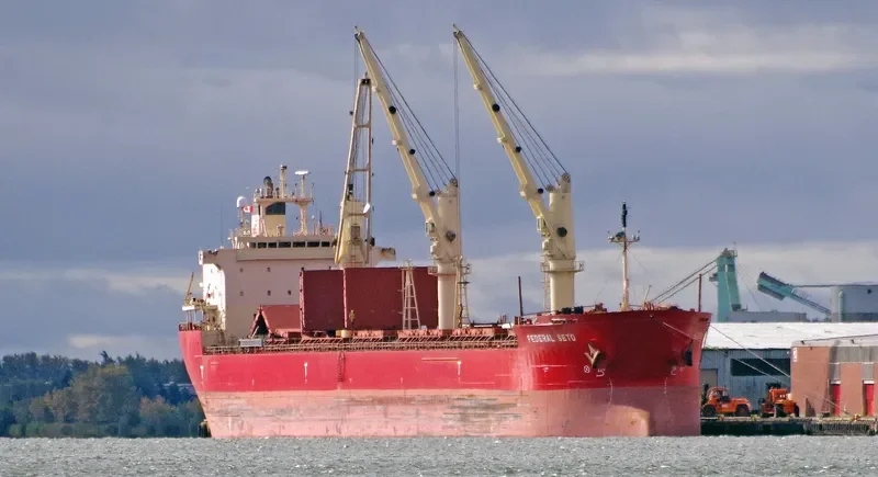 FEDERAL SETO Bulk Carrier IMO 9267209 photo 6