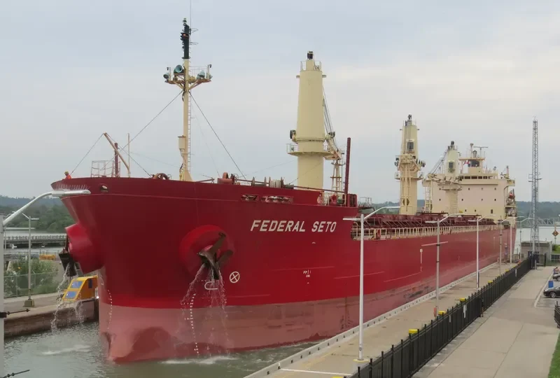 FEDERAL SETO Bulk Carrier IMO 9267209 photo 7