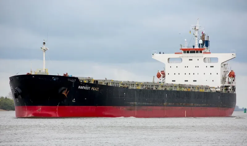 HARVEST PEACE Bulk Carrier IMO 9267211