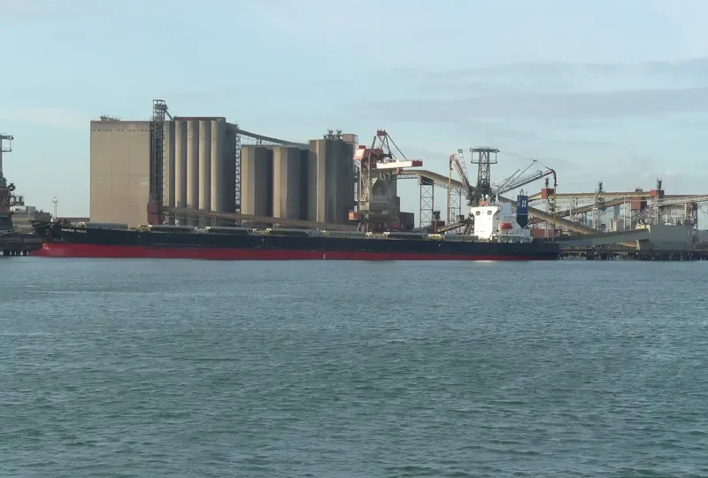 HARVEST PEACE Bulk Carrier IMO 9267211 photo 2