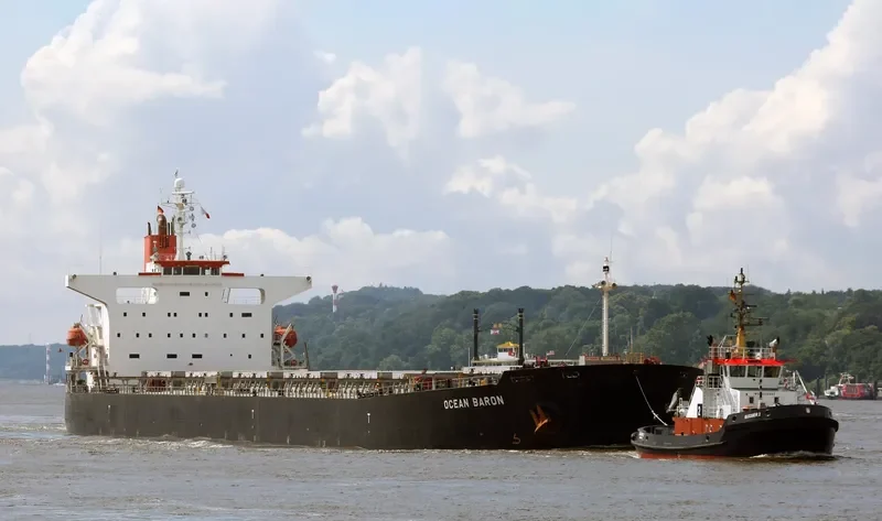 HARVEST PEACE Bulk Carrier IMO 9267211 photo 3