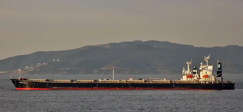 HARVEST PEACE Bulk Carrier IMO 9267211 photo 5