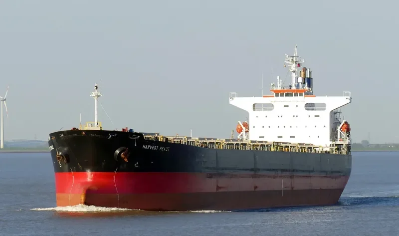 HARVEST PEACE Bulk Carrier IMO 9267211 photo 6