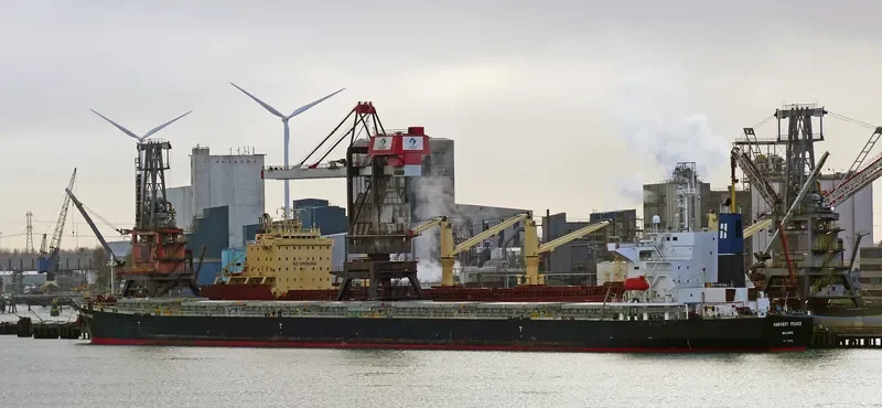 HARVEST PEACE Bulk Carrier IMO 9267211 photo 8