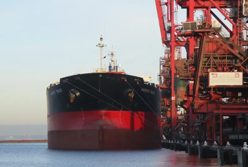 HARVEST PEACE Bulk Carrier IMO 9267211 photo 9