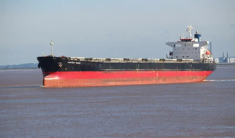 HARVEST PEACE Bulk Carrier IMO 9267211 photo 10
