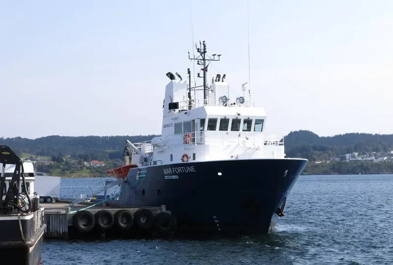 MAR FORTUNE General Cargo IMO 9267273 photo 4