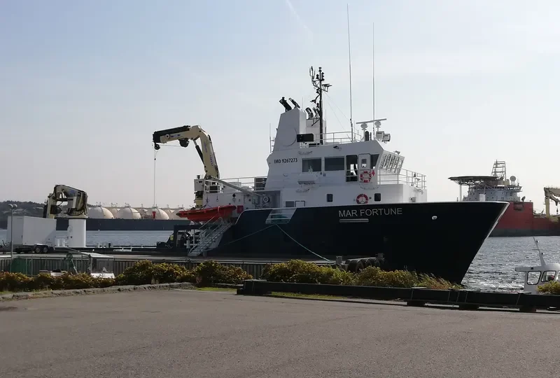 MAR FORTUNE General Cargo IMO 9267273 photo 6