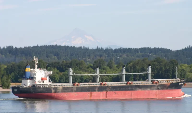 KAI XUAN 9 Bulk Carrier IMO 9267417 photo 5