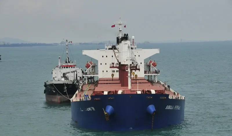 TONG DE 188 Bulk Carrier IMO 9267429