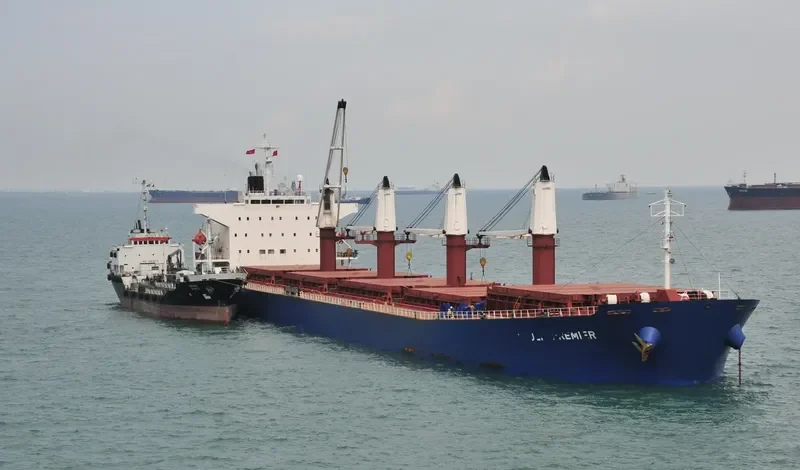 TONG DE 188 Bulk Carrier IMO 9267429 photo 2
