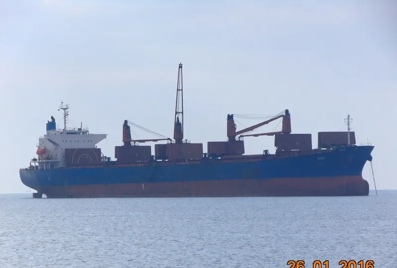 TONG DE 188 Bulk Carrier IMO 9267429 photo 5