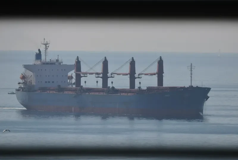 TONG DE 188 Bulk Carrier IMO 9267429 photo 6