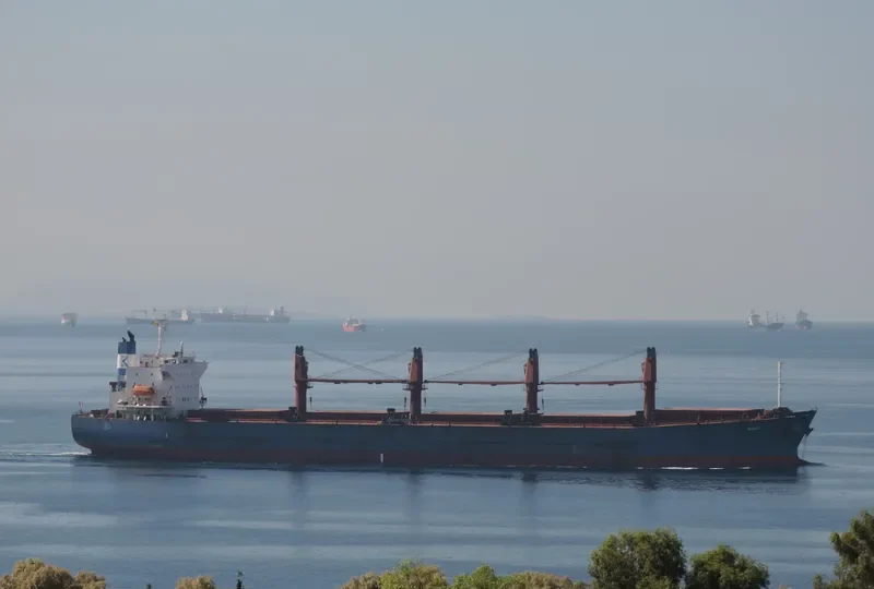 TONG DE 188 Bulk Carrier IMO 9267429 photo 7