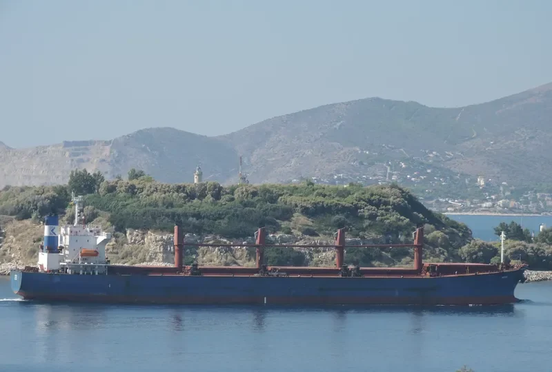 TONG DE 188 Bulk Carrier IMO 9267429 photo 8