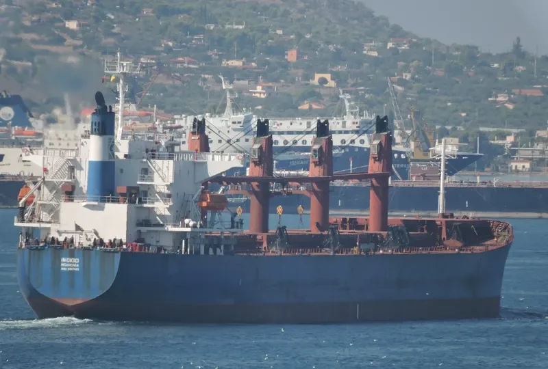 TONG DE 188 Bulk Carrier IMO 9267429 photo 9
